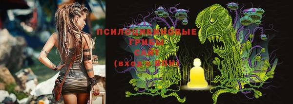 трава Алзамай