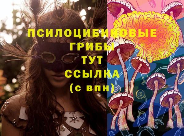тгк Алексеевка