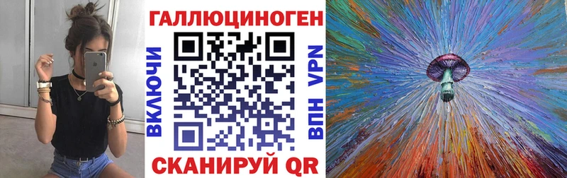 Псилоцибиновые грибы Psilocybine cubensis  Данков 